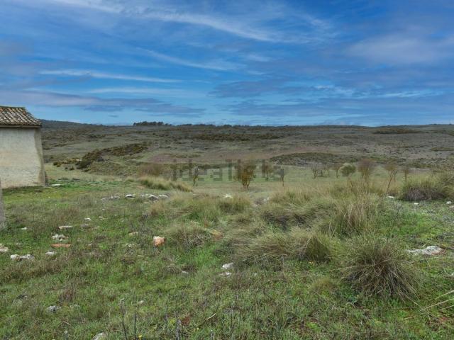Terreno, Albuñuelas