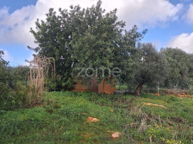 Terreno, Algoz