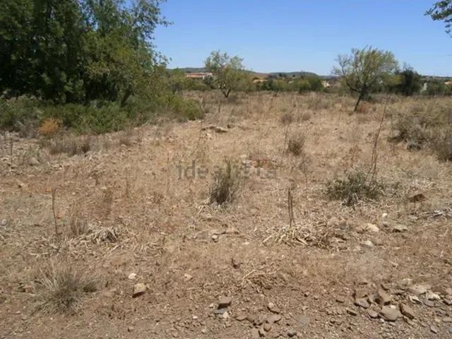 Terreno, Algoz