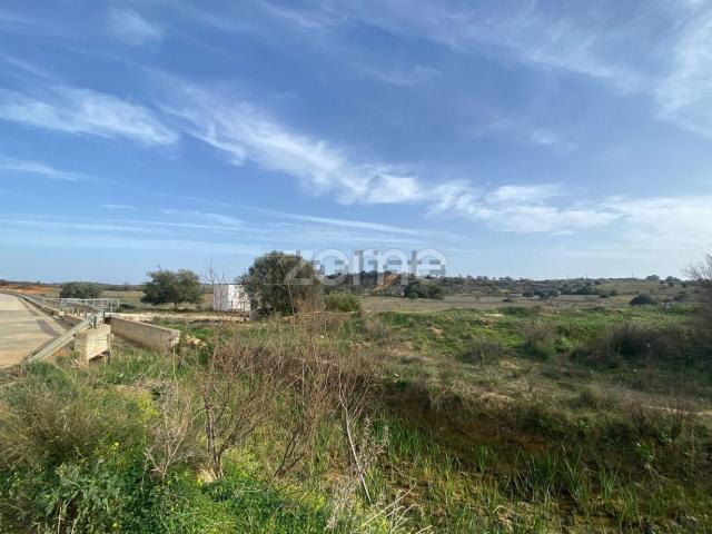 Terreno, Algoz