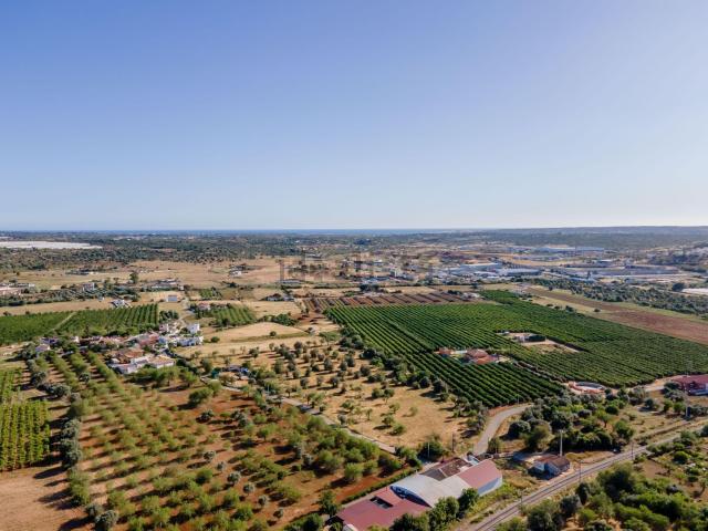 Terreno, Algoz