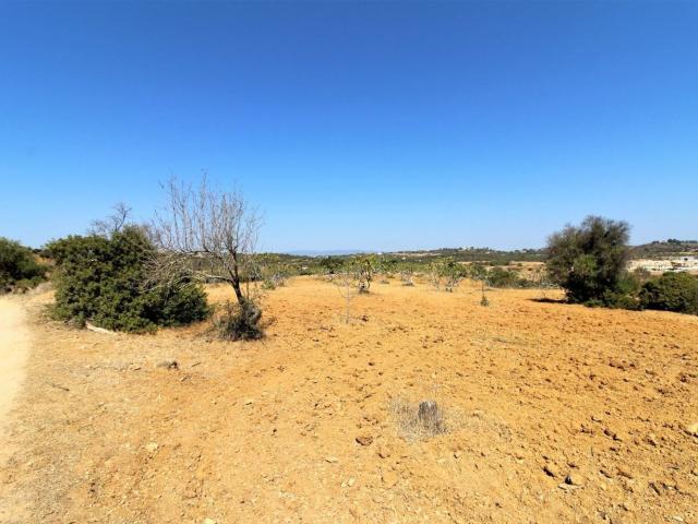 Terreno, Algoz e Tunes, Silves | BPI Expresso Imobiliário