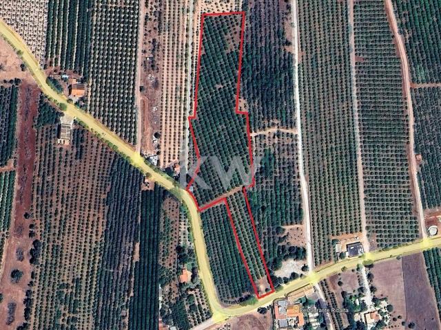 Terreno, Algoz e Tunes, Silves | BPI Expresso Imobiliário