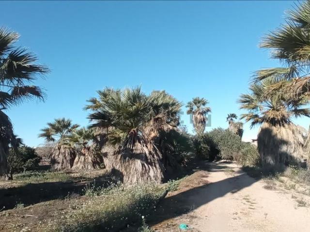 Terreno, Algorfa