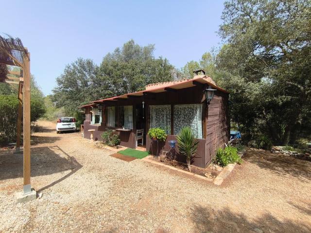 Terreno, Algaida