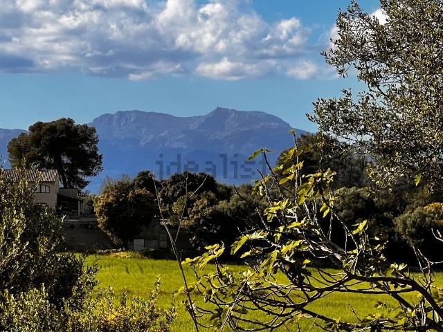 Terreno, Algaida