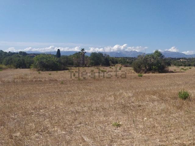 Terreno, Algaida