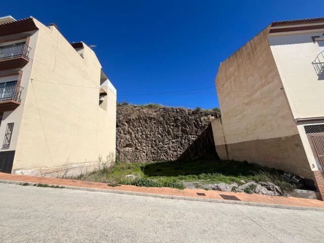 Terreno, Algarrobo