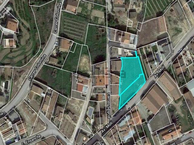 Terreno, Alguaire