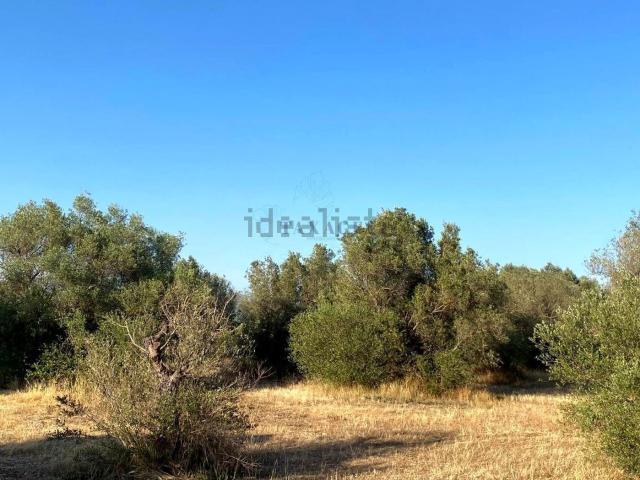 Terreno, Aldover