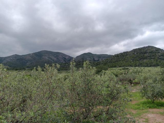 Terreno, Aldover
