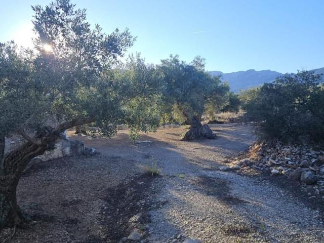 Terreno, Aldover