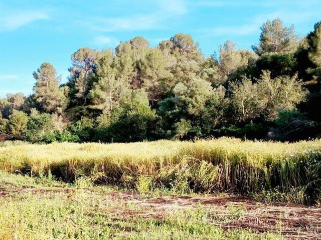 Terreno, Aldover