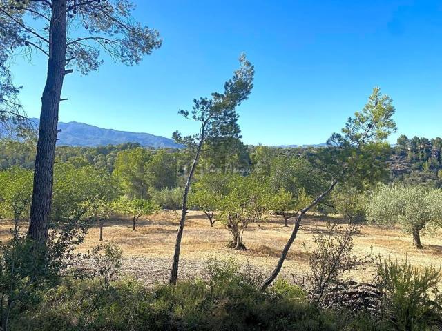 Terreno, Aldover