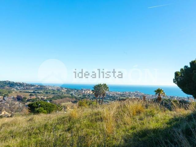 Terreno, Alella