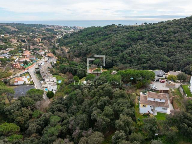 Terreno, Alella