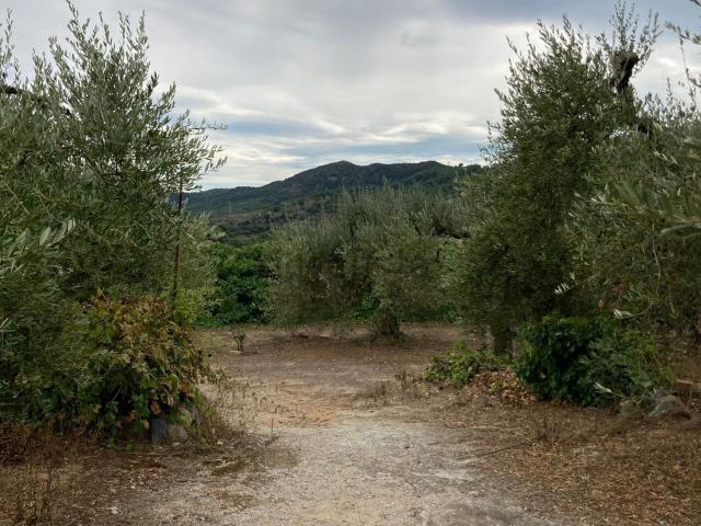 Terreno, Alforja