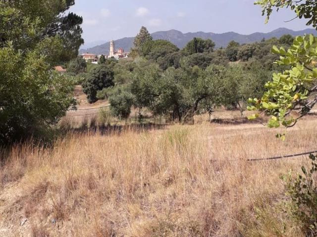 Terreno, Alforja