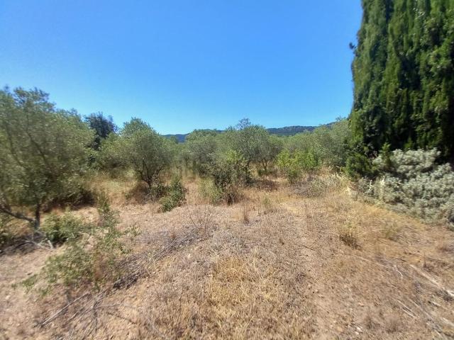Terreno, Alforja