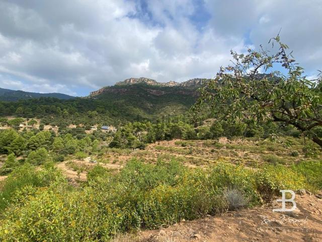 Terreno, Alforja