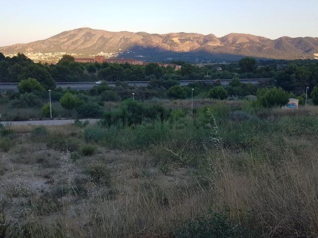 Terreno, Alfaz del Pi