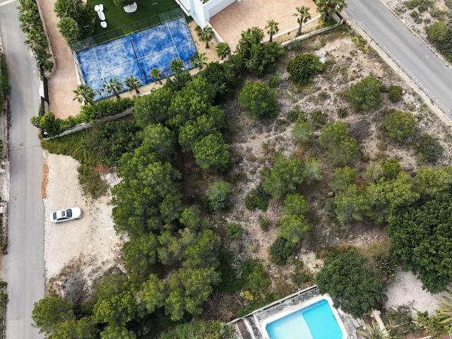 Terreno, Alfaz del Pi