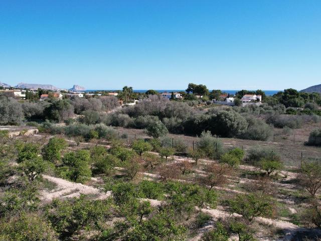 Terreno, Alfaz del Pi