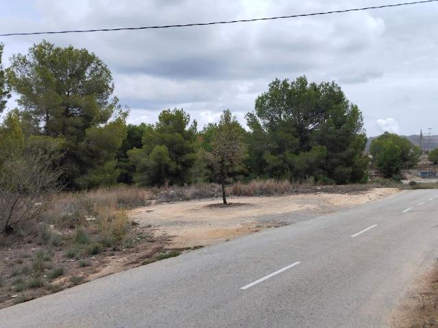 Terreno, Alfaz del Pi