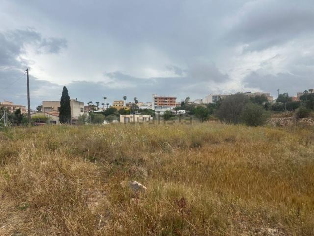Terreno, Alfaz del Pi