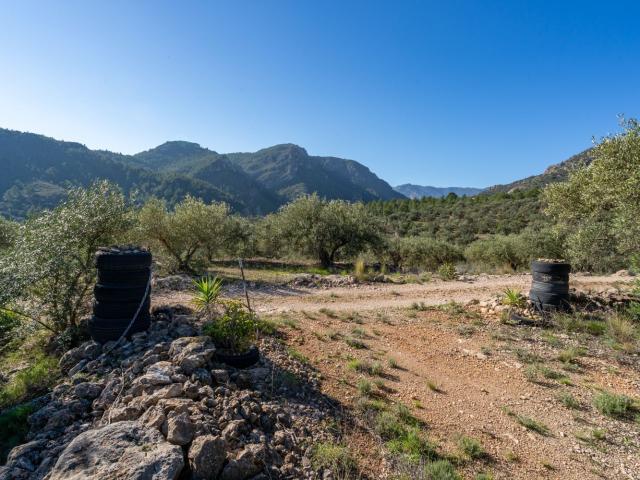 Terreno, Alfara de Carles