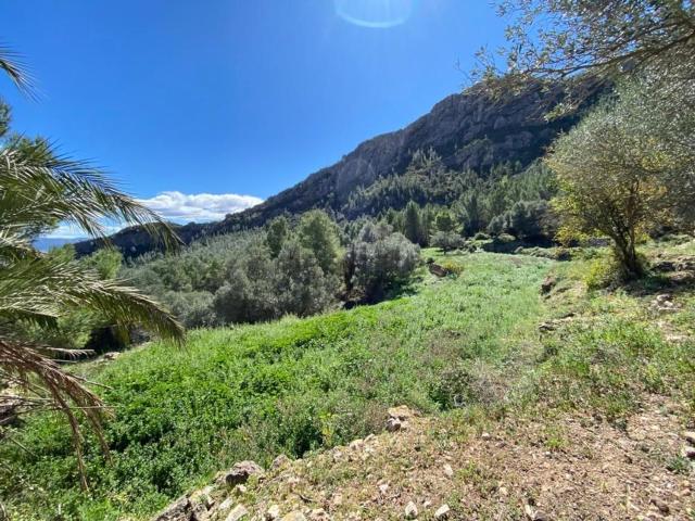 Terreno, Alfara de Carles