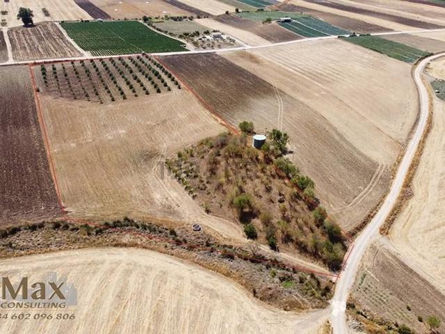 Terreno, Alfarnate