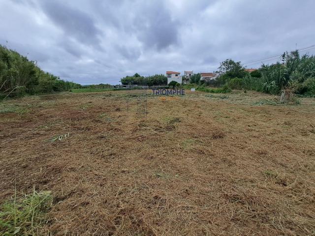 Terreno, Alfeizerão, Alcobaça | BPI Expresso Imobiliário