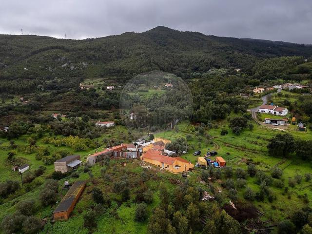 Terreno, Alferce