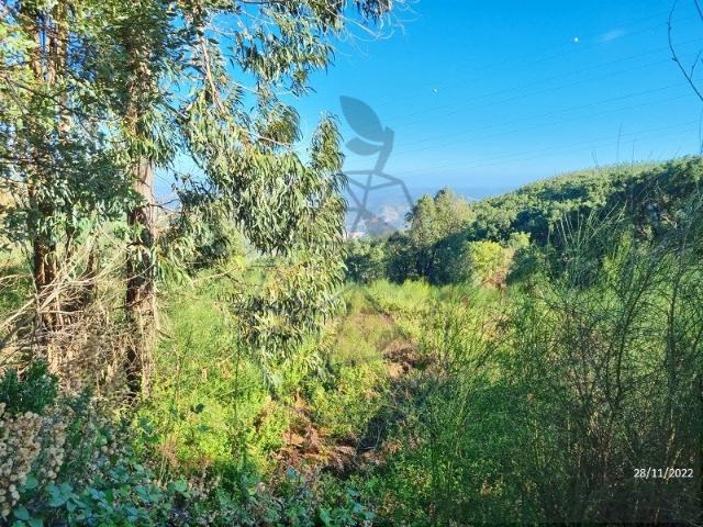 Terreno, Alferce, Monchique | BPI Expresso Imobiliário
