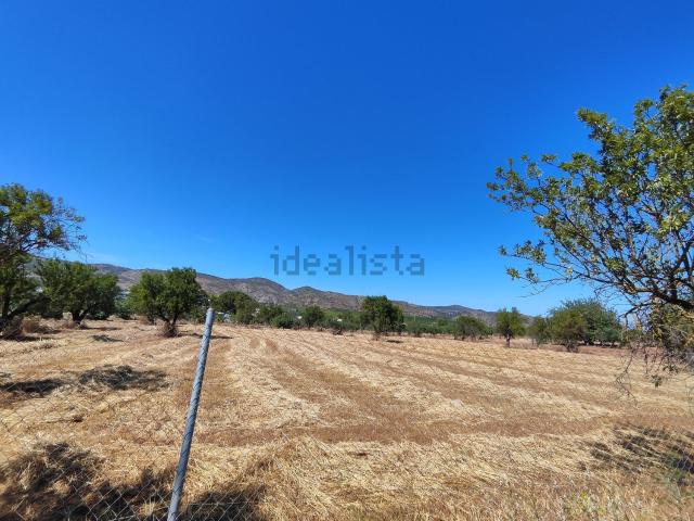 Terreno, Alhaurín de la Torre