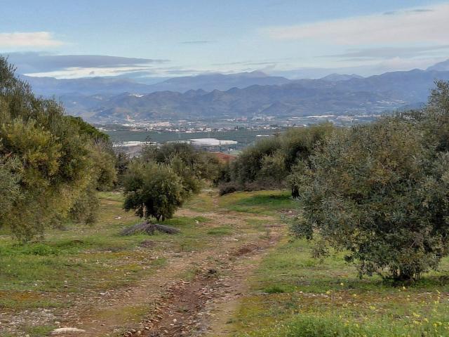 Terreno, Alhaurín de la Torre