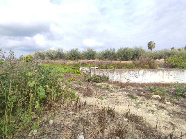 Terreno, Alhaurín de la Torre