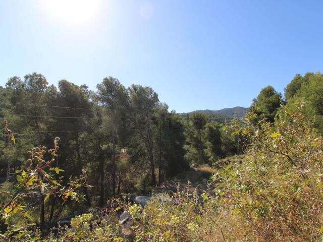 Terreno, Alhaurín de la Torre