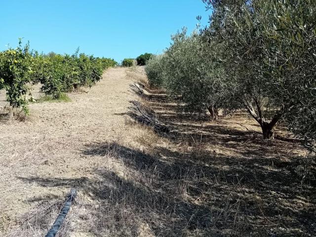 Terreno, Alhaurín el Grande