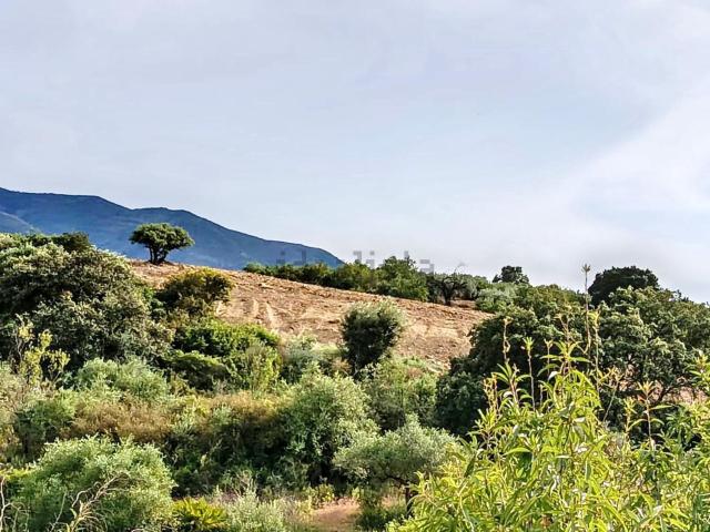 Terreno, Alhaurín el Grande