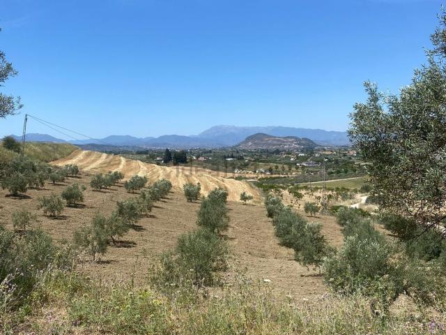 Terreno, Alhaurín el Grande