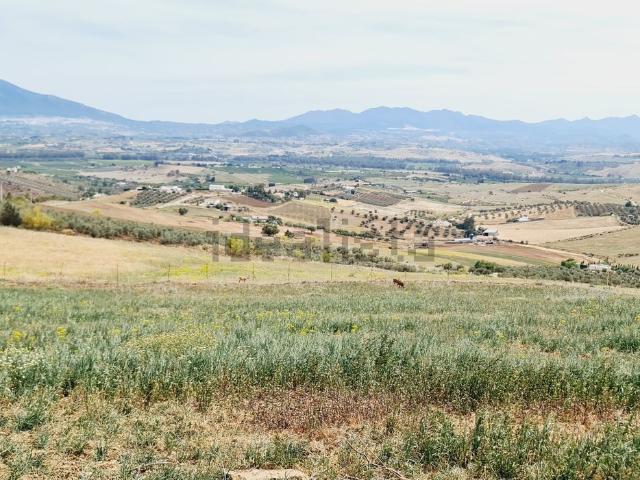 Terreno, Alhaurín el Grande