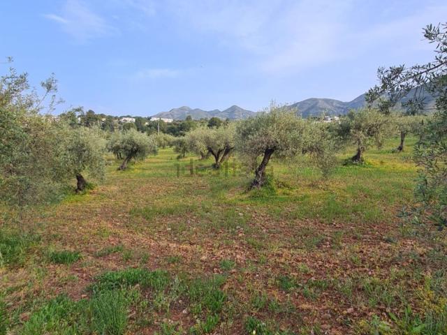 Terreno, Alhaurín el Grande