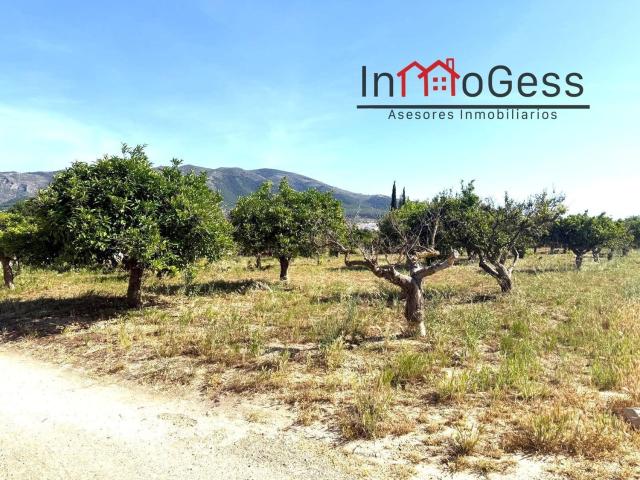 Terreno, Alhaurín el Grande