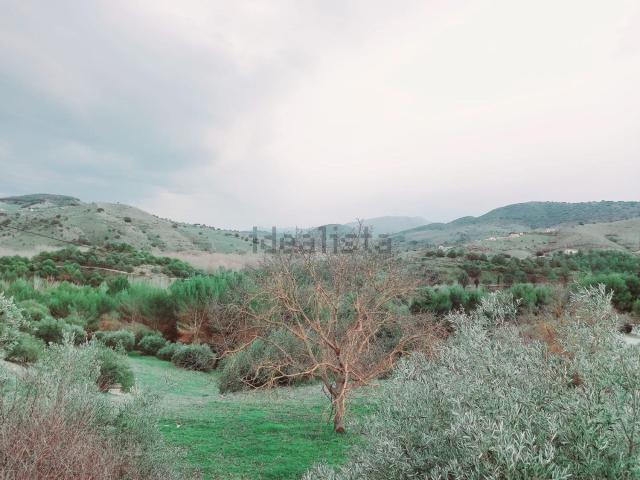 Terreno, Alhama de Granada