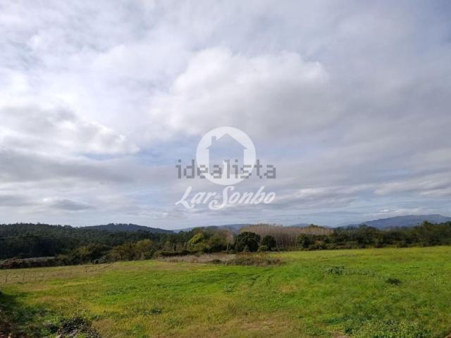 Terreno, Alheira e Igreja Nova