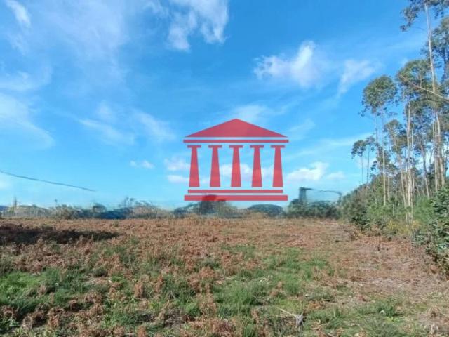 Terreno, Alheira e Igreja Nova, Barcelos | BPI Expresso Imobiliário