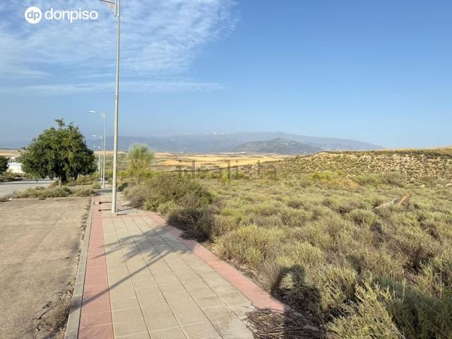 Terreno, Alhendin