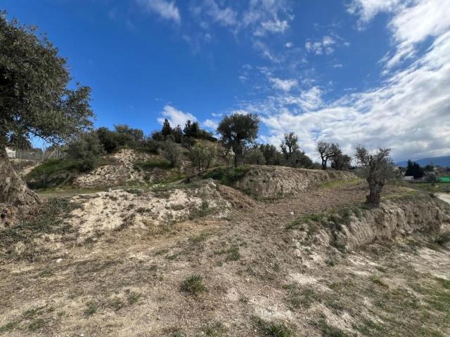 Terreno, Alhendin